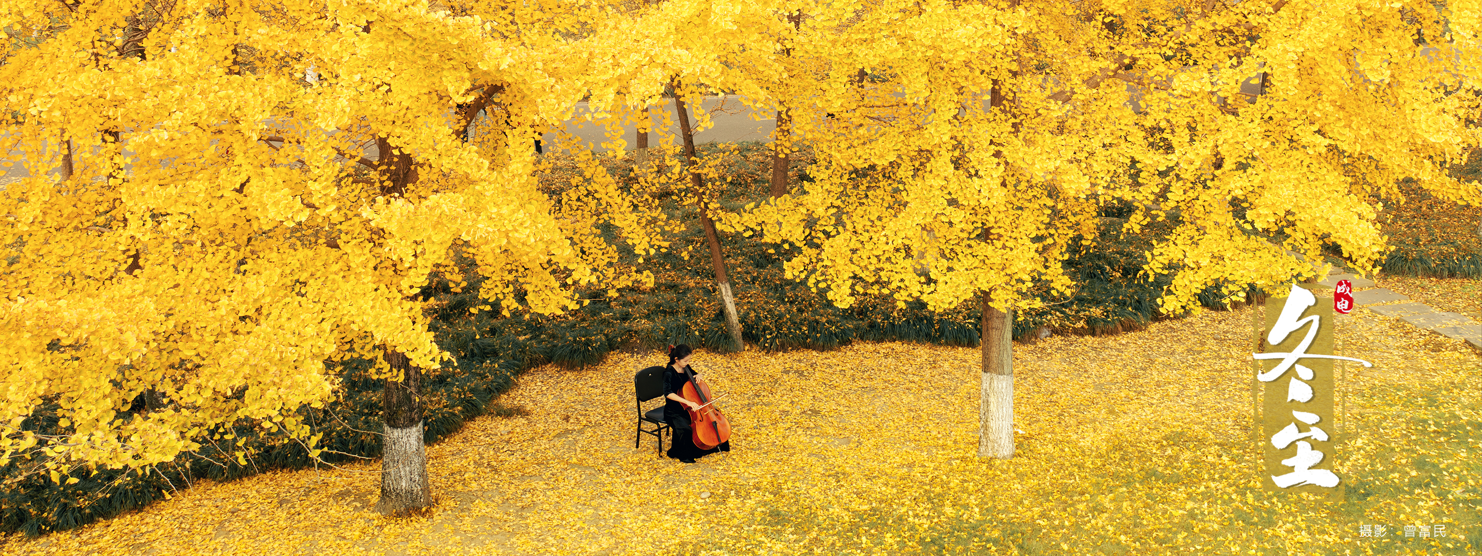 江南在线注册_江南(中国) UESTC